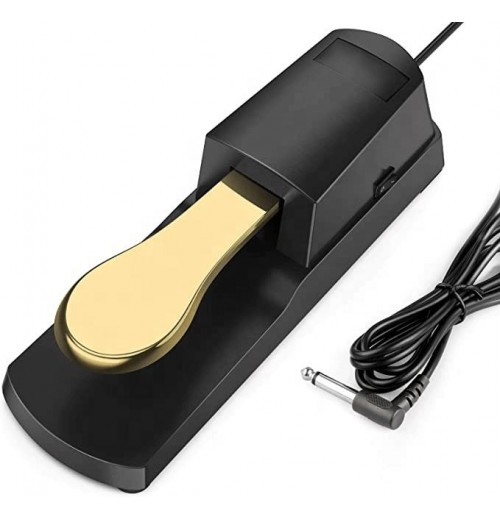 Hot Selling Piano Sustain Pedal Electronic Keyboard Piano Accessories Sustain Effect Pedal Hot Selling Piano Sustain Pedal Electronic Keyboard Piano Accessories Sustain Effect Pedal